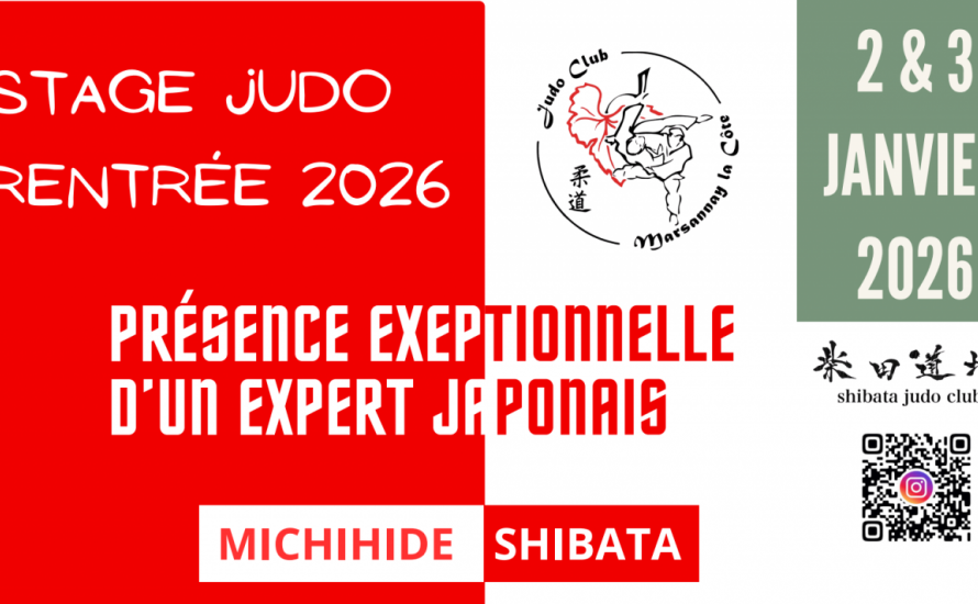 Stage 2 et 3 janvier avec un japonais